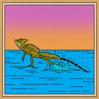 Gecko - Green Basilisk Lizard
