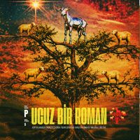 Ege Çubukçu - UCUZ BİR ROMAN (Explicit)