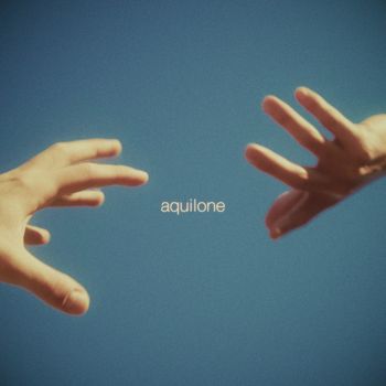 FELLOW - aquilone