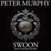 Peter Murphy - Swoon (Magic Wands Remix)