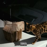 BANE - Maybach (Explicit)