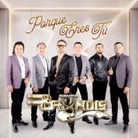 Grupo Bryndis - Porque Eres Tú