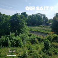 Double D - Qui sait ? (Explicit)
