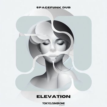 Spacefunk Dub - Elevation