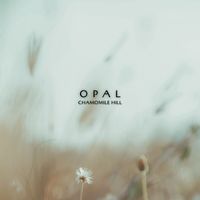 Opal - Chamomile hill