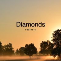 Diamonds - Feathers