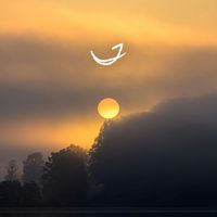 William Edessa - Elixir