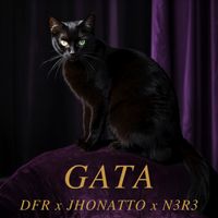 N3R3 - GATA