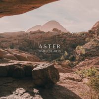 Aster - Timeless Arts
