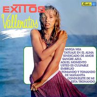 Varios Artistas - Exitos Vallenatos