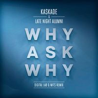 Kaskade & Late Night Alumni - Why Ask Why (Digital LAB & Mits Remix)