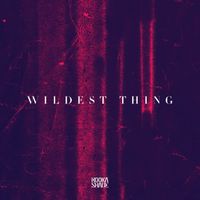 Booka Shade - Wildest Thing
