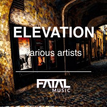 Various Artists - Elevation (Explicit)