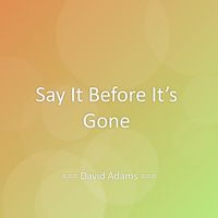 David Adams - Say It Before It’s Gone