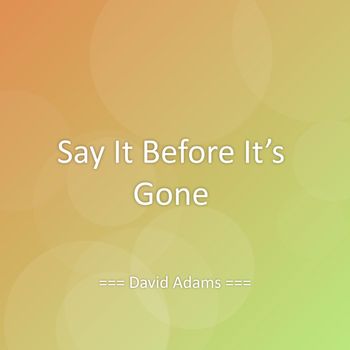David Adams - Say It Before It’s Gone