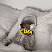Fizzy - Cdg