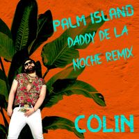 Colin - Palm Island (Daddy De La Noche Remix)