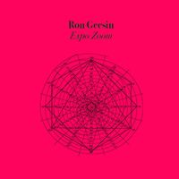 Ron Geesin - Expo Zoom