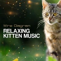 Wire Diagram - Relaxing Kitten Music