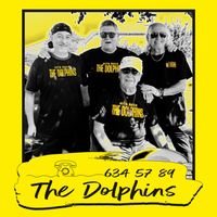 The Dolphins - 6345789