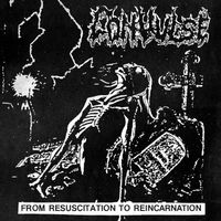 Convulse - From Resuscitation to Reincarnation - The Early Years (Explicit)