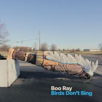 Boo Ray - Birds Don't Sing