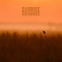 Four Winds - Sunrise Songbirds