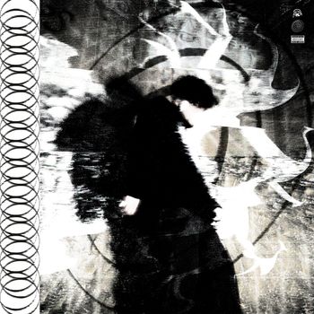 Theo - dove's paradox (Explicit)