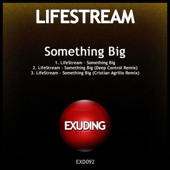 LifeStream - Something Big
