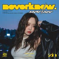 zin - never know