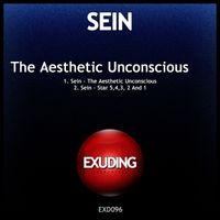 Sein - The Aesthetic Unconscious