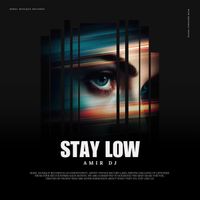 Amir DJ - Stay Low