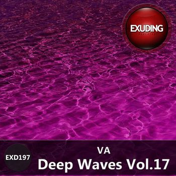 Various Artists - Deep Waves, Vol. 17