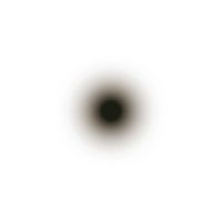 Woo - BLACK OUT (Explicit)