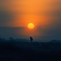 Carlo Stottmeier - Sundowner