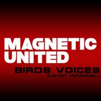 David Howmall - Birds Voices