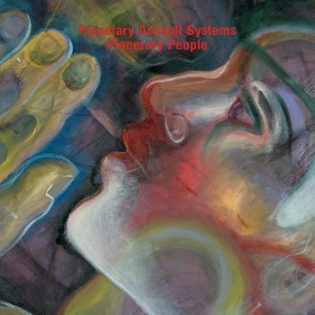 Planetary Assault Systems - Retina Burn
