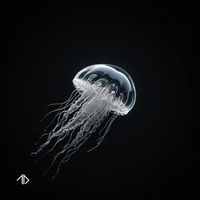 The New Division - Hurricane