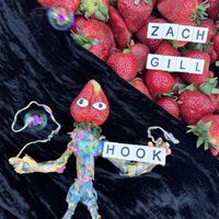 Zach Gill - Hook