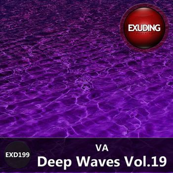 Various Artists - Deep Waves, Vol. 19