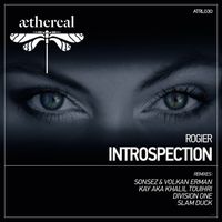 Rogier - Introspection