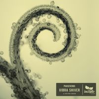 PhaseVerbs - Vibra Shiver