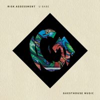 Risk Assessment - U Babe