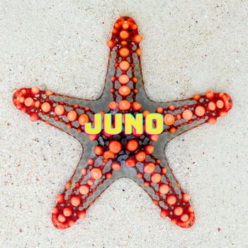 Matt Taylor - Juno