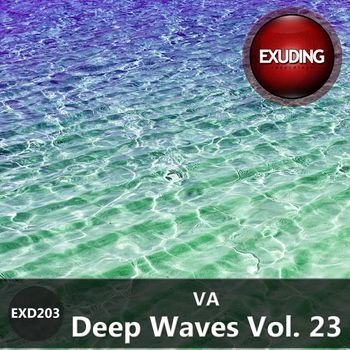 Various Artists - Deep Waves, Vol. 23