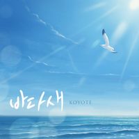 KOYOTE - Sea bird