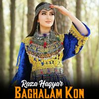 Raza Haqyar - Baghalam Kon