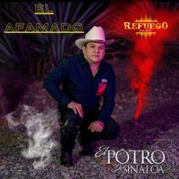 El Potro de Sinaloa - EL AFAMADO (EN VIVO)
