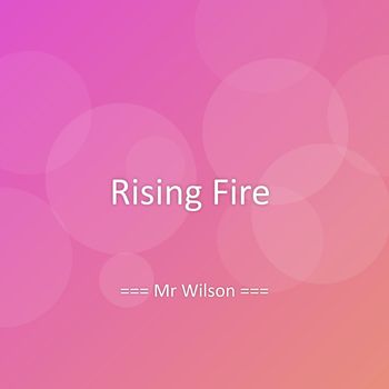 Mr Wilson - Rising Fire