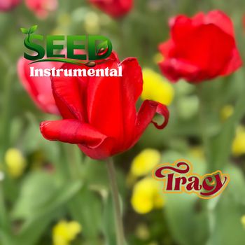 Tracy - Seed Instrumental